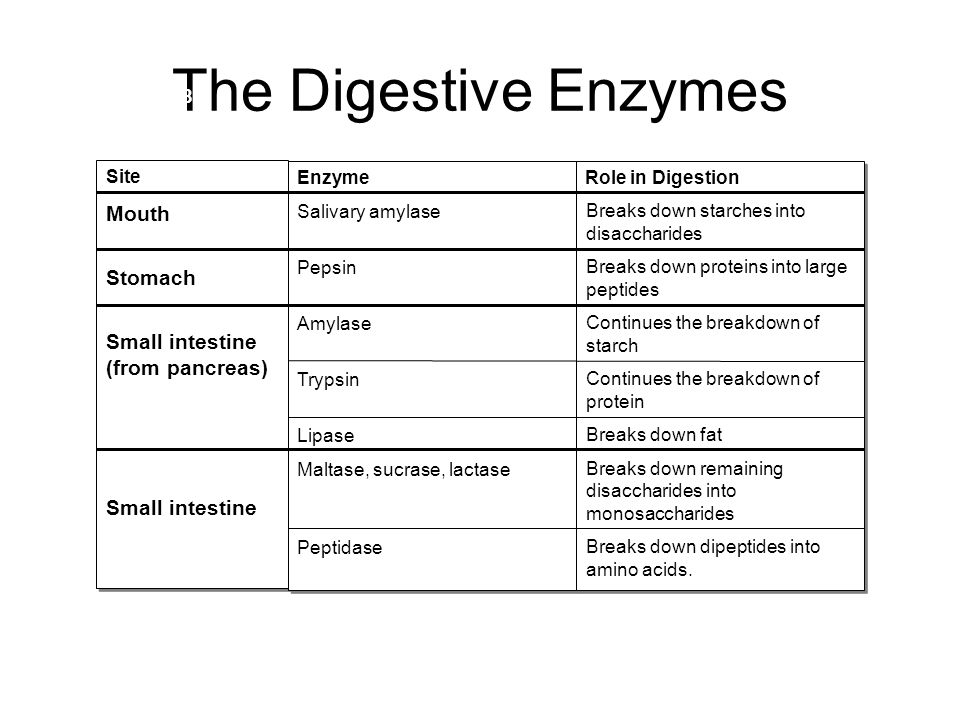 Image result for what does trypsin do