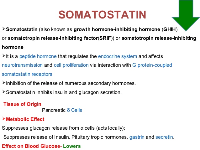 Image result for somatostatin
